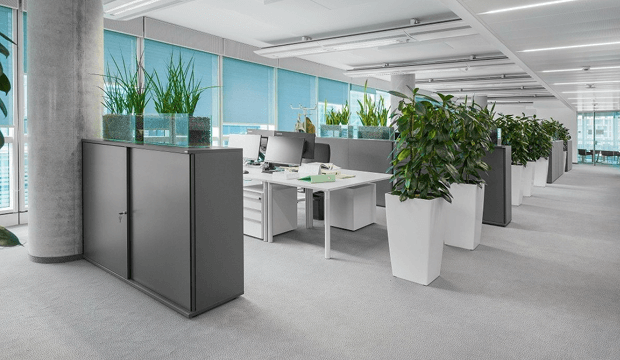 Hali Office Beispiel